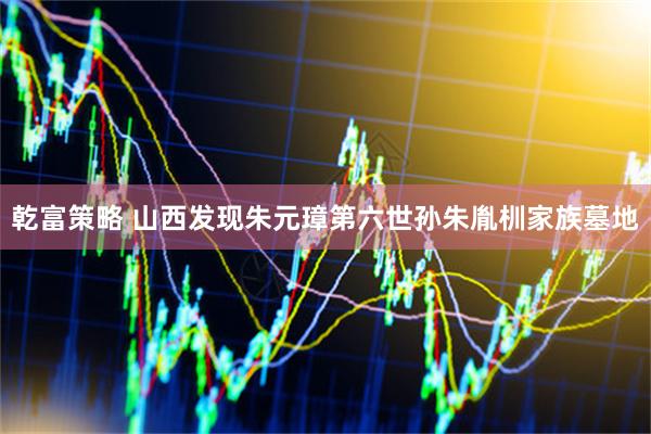 乾富策略 山西发现朱元璋第六世孙朱胤杊家族墓地