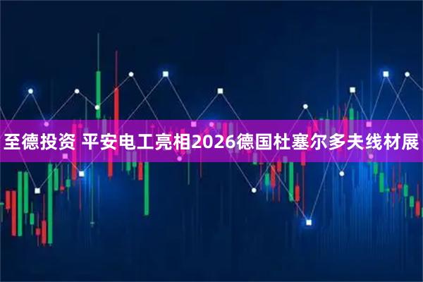 至德投资 平安电工亮相2026德国杜塞尔多夫线材展
