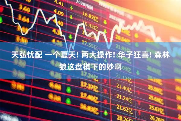 天弘忧配 一个夏天! 两大操作! 华子狂喜! 森林狼这盘棋下的妙啊