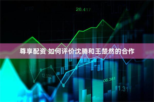 尊享配资 如何评价沈腾和王楚然的合作